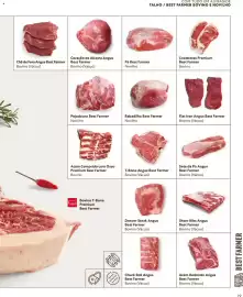 Folheto Recheio Página 19