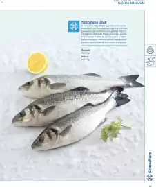 Folheto Recheio Página 29