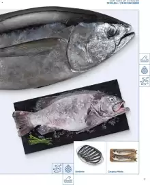 Folheto Recheio Página 31