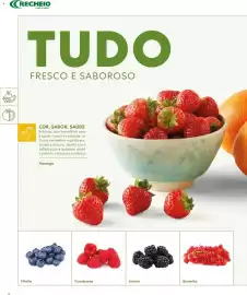 Folheto Recheio Página 6