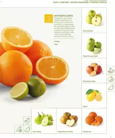 Folheto Recheio Página 7