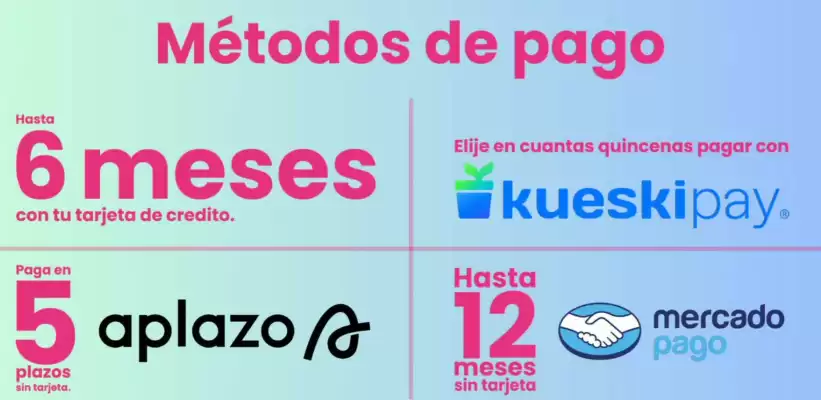 Onix (válido hasta 31-12)