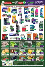 Tabloide Copercana Página 2