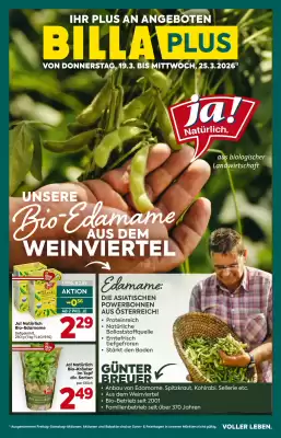 Billa Flugblatt (gültig bis 26-03)