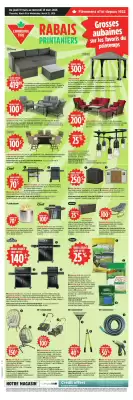 Canadian Tire flyer