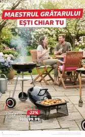 Catalog Kaufland săptămâna 12 Pagină 8