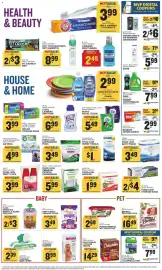 Food Lion weekly ad week 12 Page 13