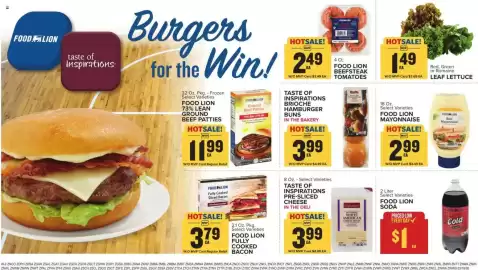 Food Lion weekly ad week 12 Page 15
