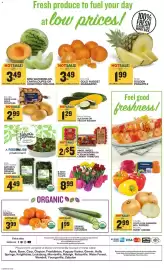 Food Lion weekly ad week 12 Page 3