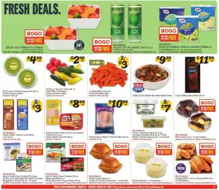 Winn Dixie weekly ad week 12 Page 9