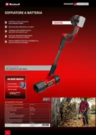 Volantino Einhell Pagina 32