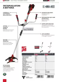 Volantino Einhell Pagina 46