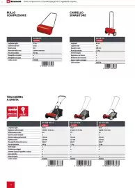 Volantino Einhell Pagina 76