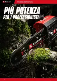 Volantino Einhell Pagina 8