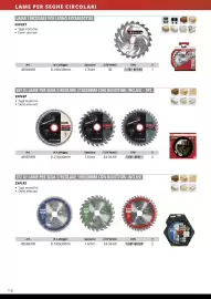Volantino Einhell Pagina 112