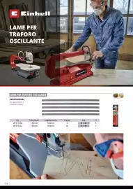 Volantino Einhell Pagina 116