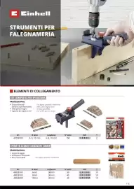 Volantino Einhell Pagina 117