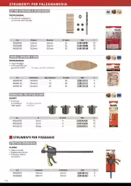 Volantino Einhell Pagina 118