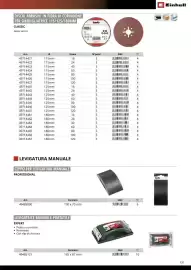 Volantino Einhell Pagina 133