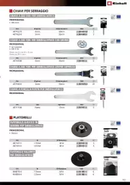 Volantino Einhell Pagina 165