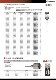 Volantino Einhell Pagina 17