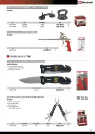 Volantino Einhell Pagina 185