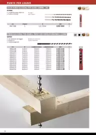 Volantino Einhell Pagina 36