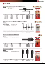 Volantino Einhell Pagina 39