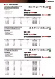 Volantino Einhell Pagina 51