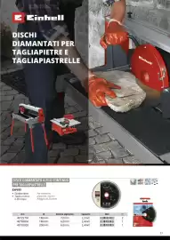 Volantino Einhell Pagina 79