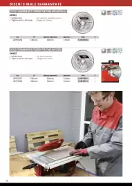 Volantino Einhell Pagina 80
