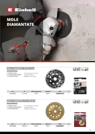 Volantino Einhell Pagina 81