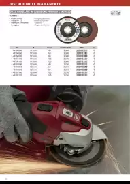 Volantino Einhell Pagina 90