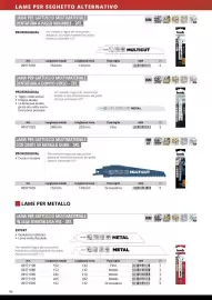 Volantino Einhell Pagina 98