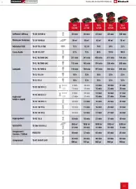 Volantino Einhell Pagina 109