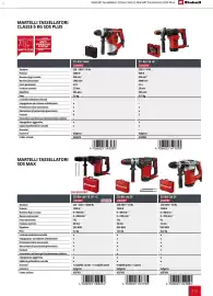 Volantino Einhell Pagina 115