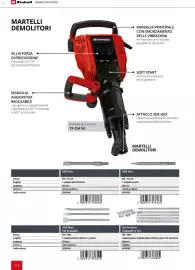 Volantino Einhell Pagina 116