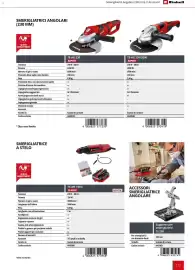 Volantino Einhell Pagina 119