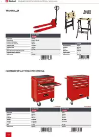 Volantino Einhell Pagina 166