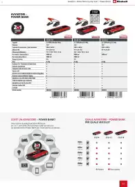 Volantino Einhell Pagina 171