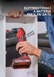 Volantino Einhell Pagina 65