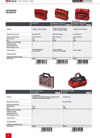 Volantino Einhell Pagina 90