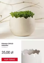 Homla gazetka Strona 7