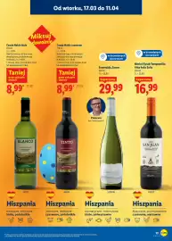 Lidl gazetka Strona 13