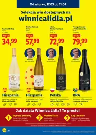 Lidl gazetka Strona 46