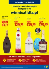 Lidl gazetka Strona 47
