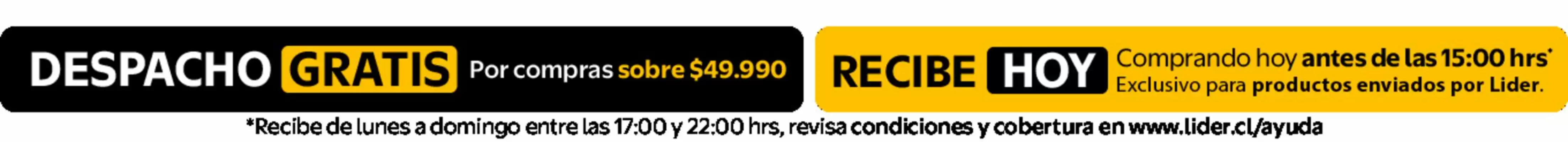 Catálogo Lider (válido hasta 31-03)