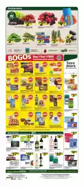 Harveys Supermarkets weekly ad week 12 Page 6