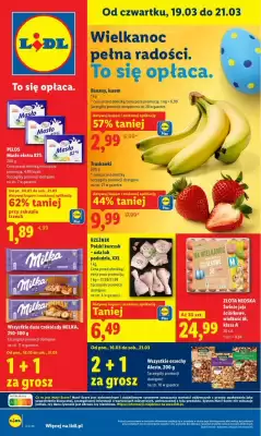 Lidl gazetka (ważność do 21-03)