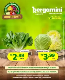 Catálogo Supermercado Bergamini Página 8